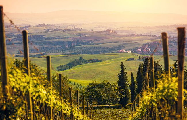 From Bologna: Verona and Valpolicella Day Tour - Photo 7