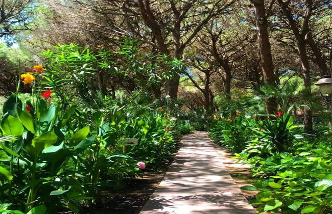 Holiday Home in Arborea With Pools & Spa - Foto 39