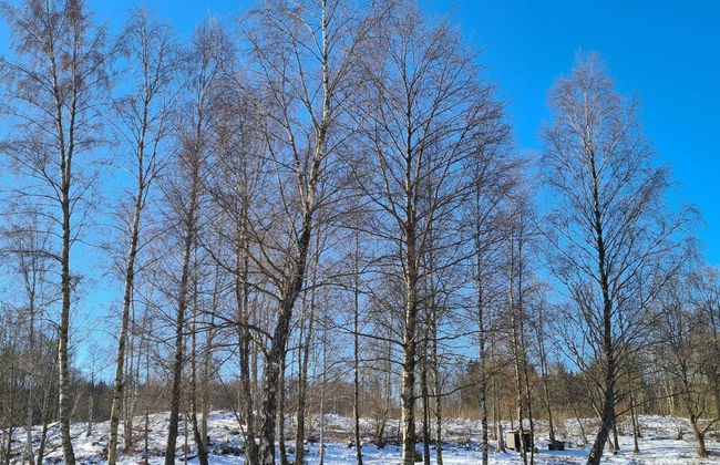 Holiday Home With Swimming Pool - Foto 6