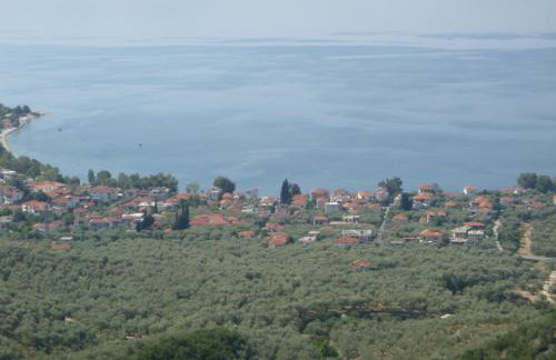 Orange Garden - Foto 36