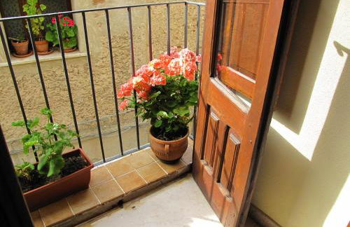 Diving Center Punta Stilo - Foto 19