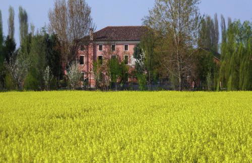 Pet-Friendly Nature Escape - Foto 12