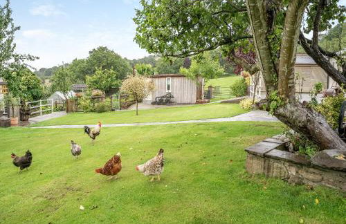 Molehill Lodge - Foto 12