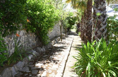 Tenuta Oliva - Foto 39