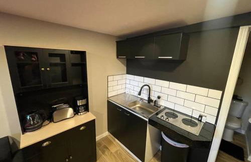 New Midtown Modern Studio With Backyard (Unit B) - Foto 9