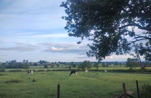 The Calf House - Foto 4