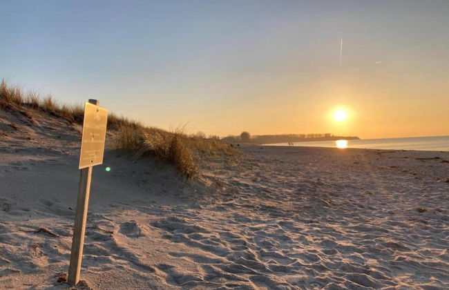 Ferienwohnung am Meer in Rerik - Foto 38