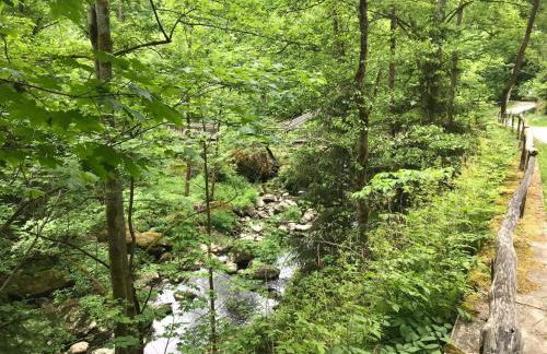 Komfortables Ferienhaus in Lichtenberg bei Hof im Frankenwald 400m vom See nahe Bad Steben - Foto 19