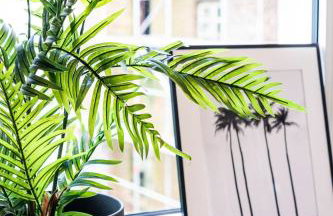 Apartment, Schwelm, Neu, 1 Schlafzimmer, 3 Betten, 1 Badezimmer - Foto 25