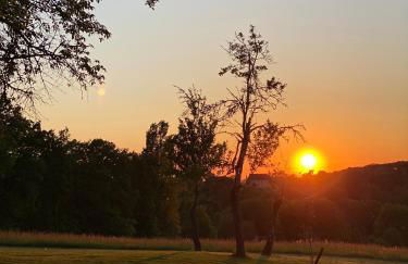 Domaine de Cazal - Gîte 4 pers avec piscine au cœur de 26 hectares de nature préservée - Foto 29