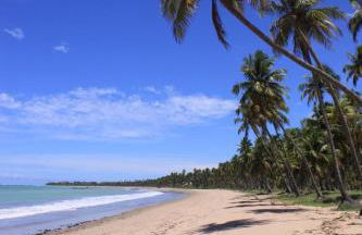 Proa Japaratinga - Foto 5