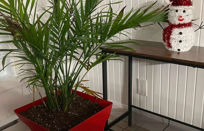 Chalet des Becassines Citq 310334 - Foto 15