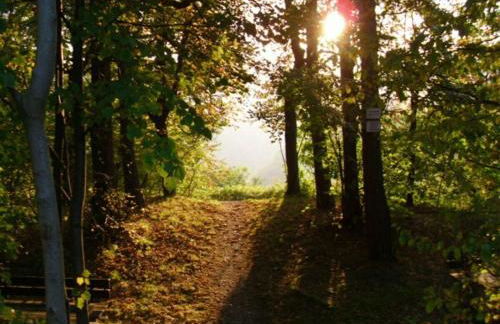 Holiday Apartment Haus Bodefurt - Apartment 2 - Foto 40