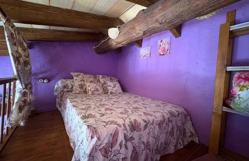 Lo Racó de Peret - Foto 27