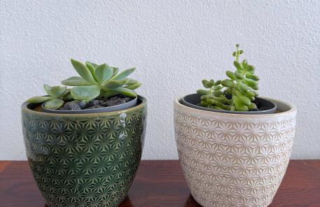 Casa do Cacto - 2 Bedroom Apartment - Photo 20