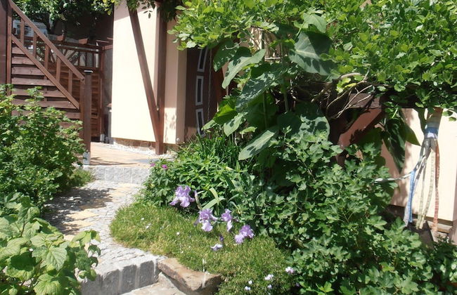 Fewo Baumann - Foto 34