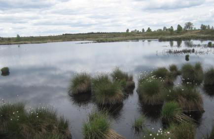 Beautiful condo with big garden - Foto 5