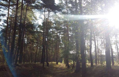 Ferienapartment am See mit Kajak SUP Verleih - Foto 18