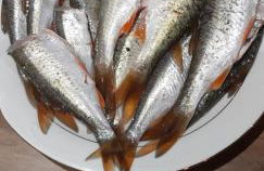 Pauza Drzewoszewo - Dom nad jeziorem - Foto 25