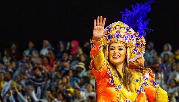 Sao Paulo Carnival Parade VIP Area Experience - Foto 5