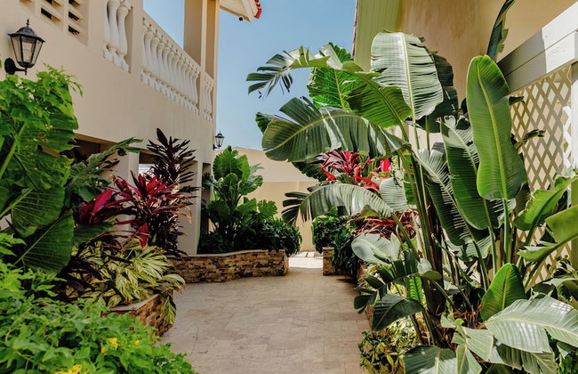 Charming 1-bedroom Apartment 2 km From Eagle Beach - Foto 19