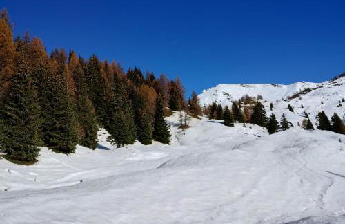 Casa per vacanze degli gnomi - Foto 58