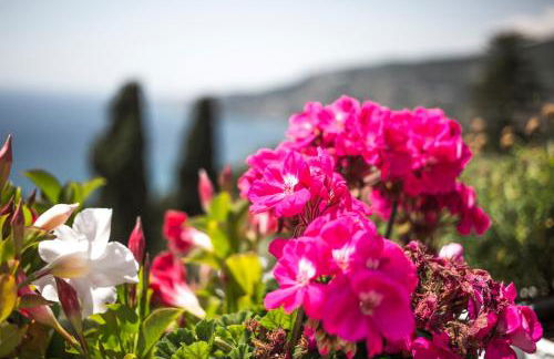Il Grande Blu - Vista Panoramica sul Golfo - Photo 18