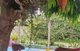 Casa Mistica estilo chacara - Foto 12