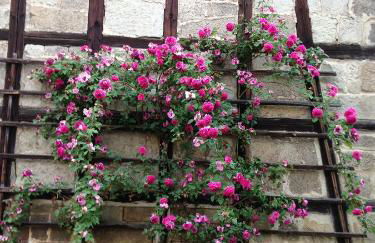 Ferienwohnung Dietlinde - Foto 20