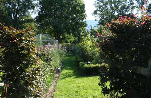 Pszczelarnia Dom Pracy Twórczej - Foto 1