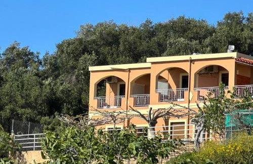 Nikos Apartments Corfu - Foto 126