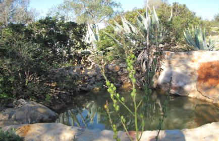 Casa Branca - Foto 5