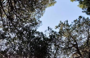 HolidayHome Manetta tra Mare e Natura - Photo 70