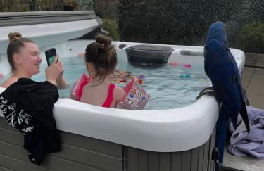 Bumble’s Barn - Foto 26