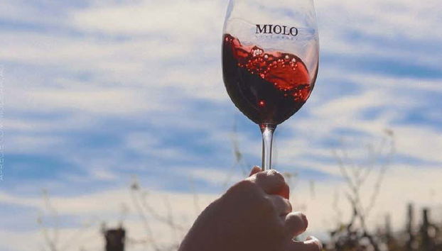 Vale dos Vinhedos Wine Tour - Foto 4