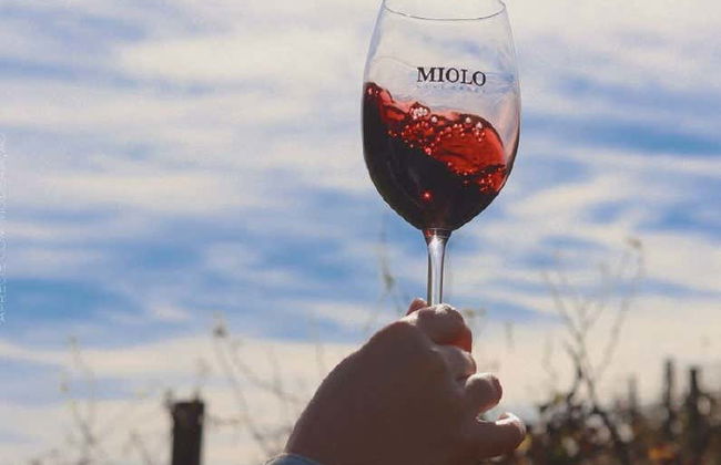 Vale dos Vinhedos Wine Tour - Photo 4