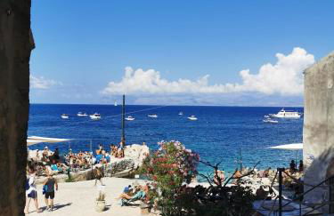 Azienda Agrituristica Baglio Carta - Foto 29