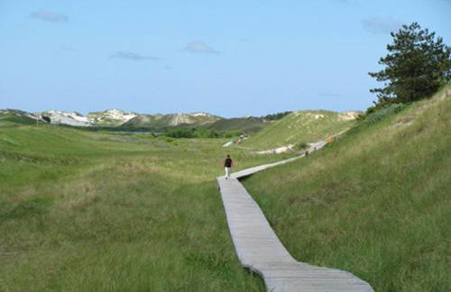 Ferienhaus-Heisser-Sand-Whg-5 - Photo 11