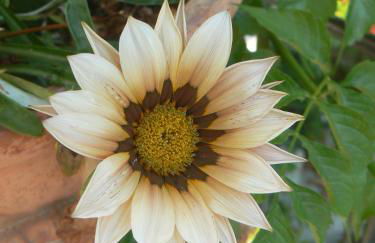 Silvi Mari Apartments - Foto 21