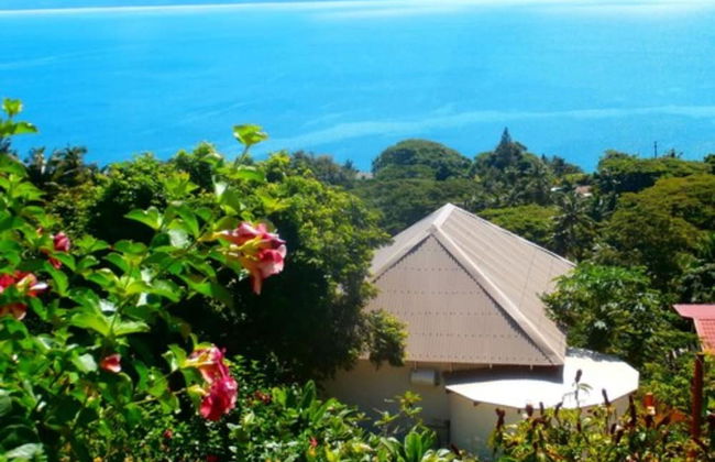 Korovesi Sunshine Villas - Photo 54