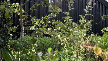 Crown Lodge, Great Glemham - Foto 5