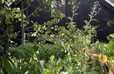 Crown Lodge, Great Glemham - Foto 5