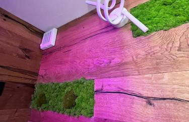 Chalmettes Lune Étoilée - Foto 26