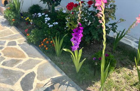 Beachfront Villa Athina - Foto 61