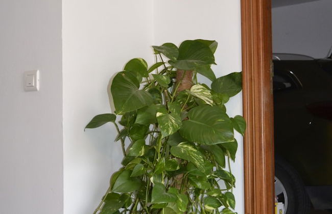 Apartamentos Quercus - Foto 3