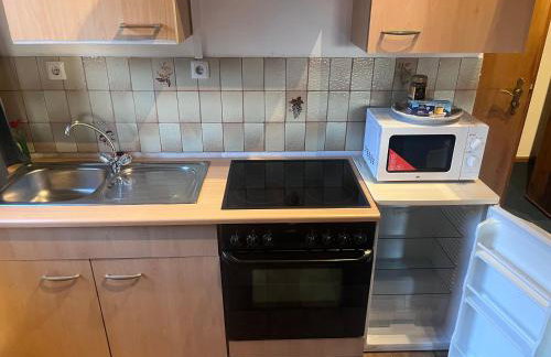 Franziska's Ferienwohnung - Die Unterkunft in ruhiger Lage direkt am Wald - Foto 10