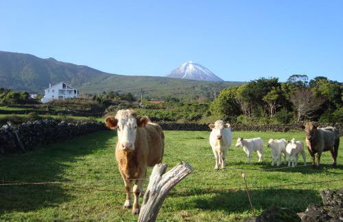 Casa Do Canto # PICO HOLIDAY RENTALS - Photo 1