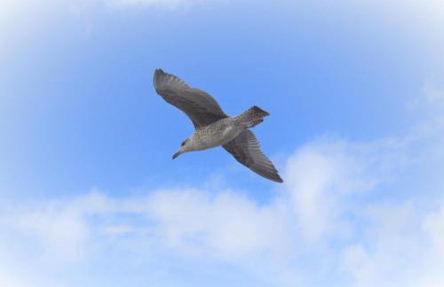 App 134Haus 3 - Foto 15