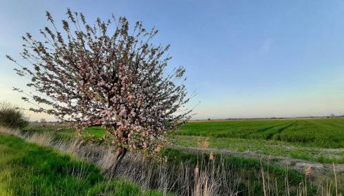 Ferienwohnungen Stellerbruch - Foto 3