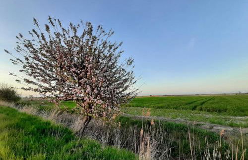 Ferienwohnungen Stellerbruch - Foto 3